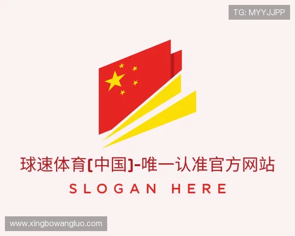 了解球速官网